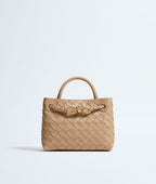 Bottega Veneta Mini Andiamo